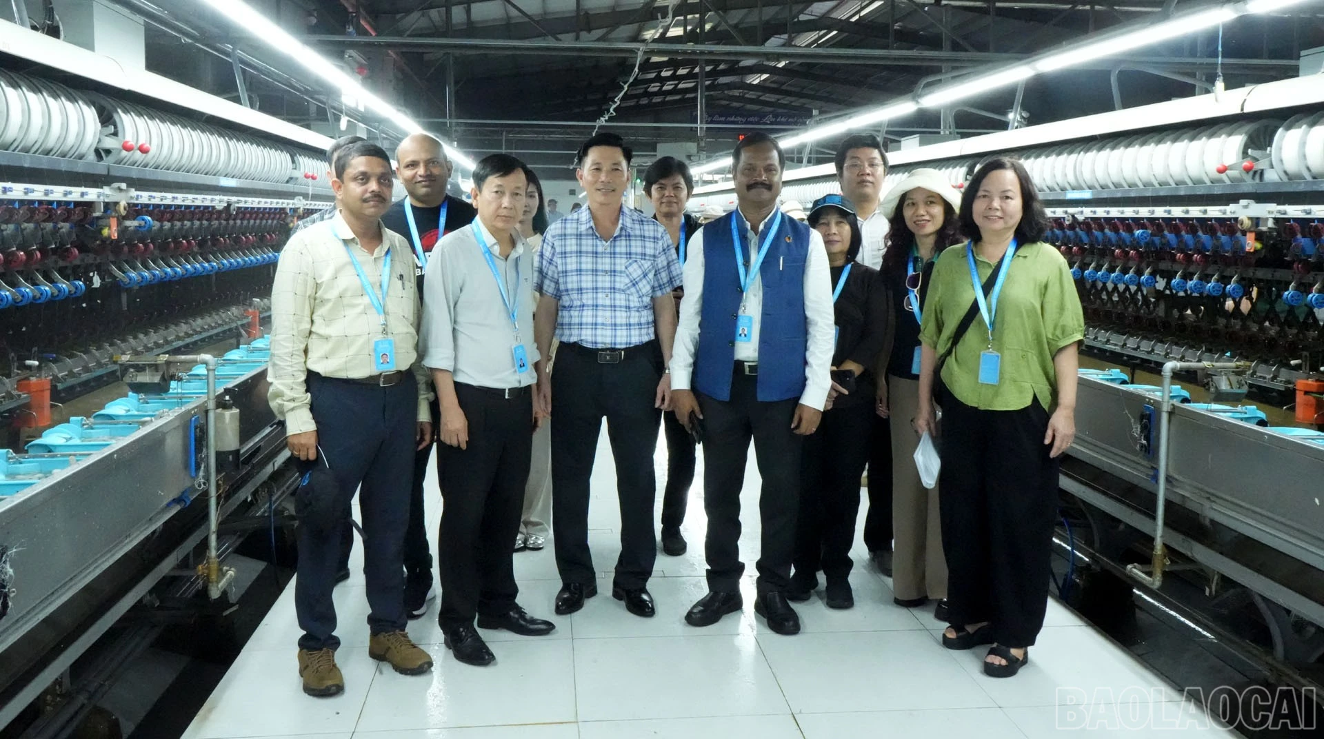 baolaocai-br_dau-tam1-3.jpg