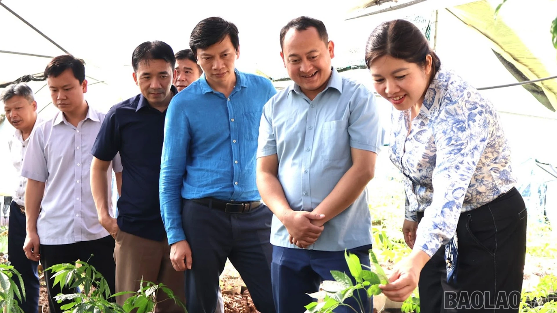 Đoàn công tác xã Mường Chanh tham quan trang trại trồng sâm Ngọc Linh của Công ty cổ phần Đầu tư PANAX Việt Nam.