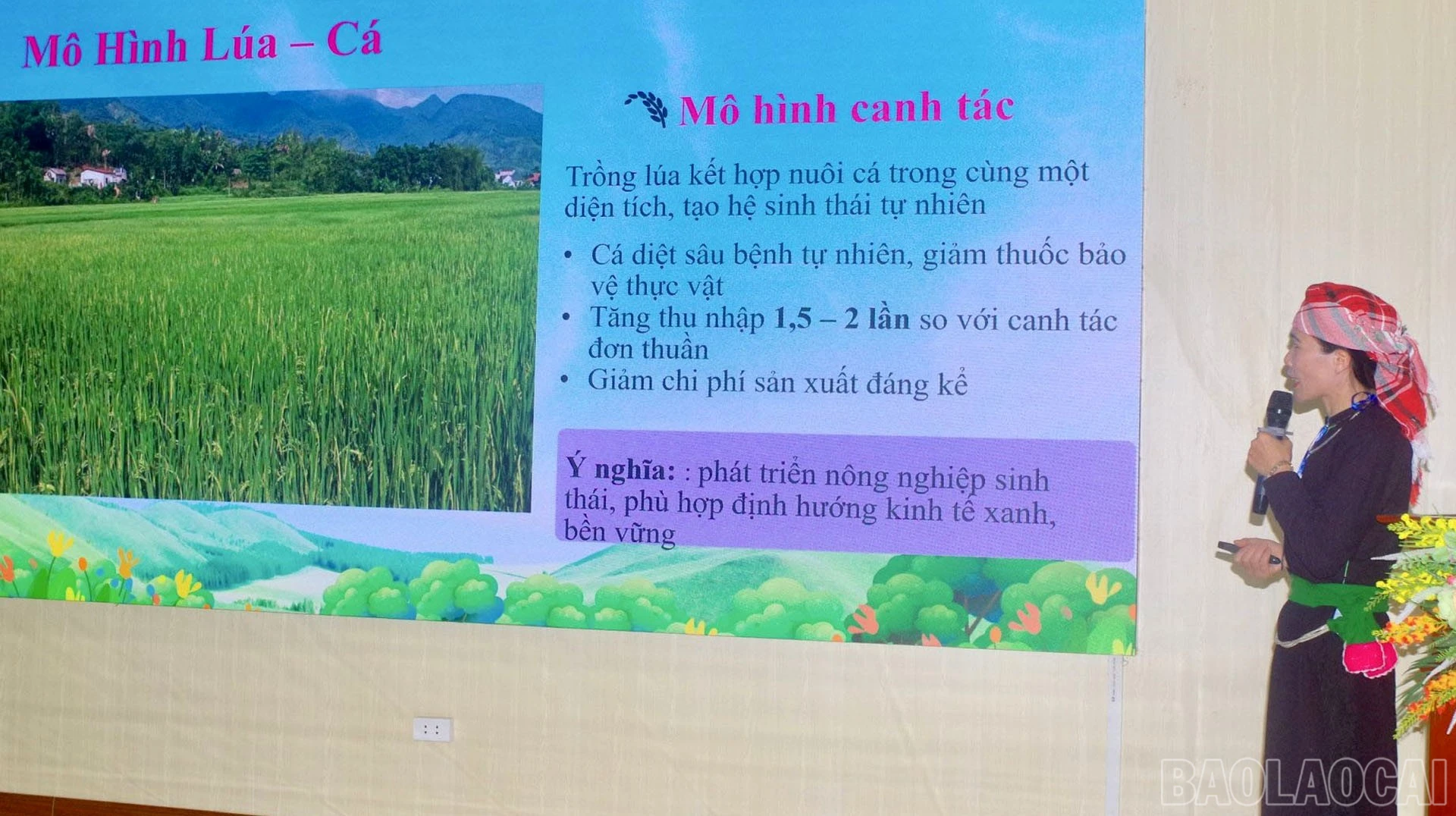 baolaocai-br_thi-2.jpg