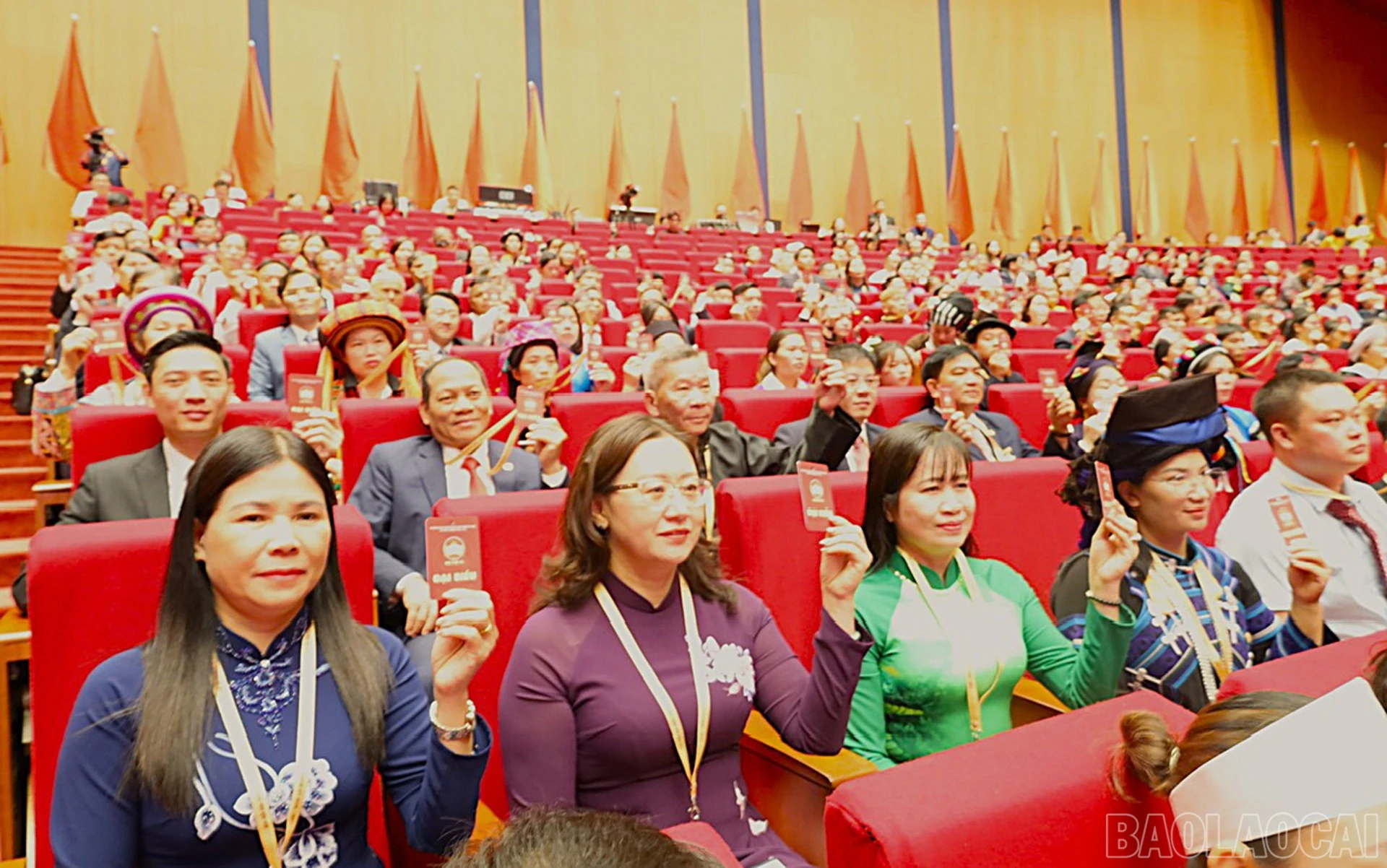 baolaocai-br_13-5-anh2.jpg