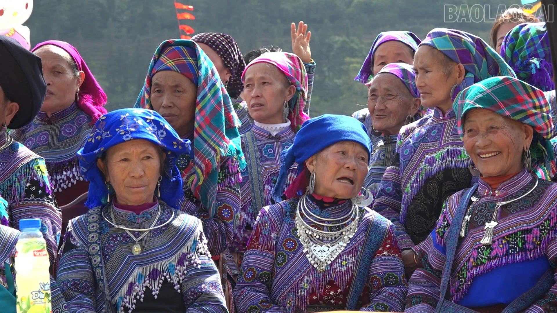 baolaocai-tr_05d1d92ff1127f4c2603.jpg