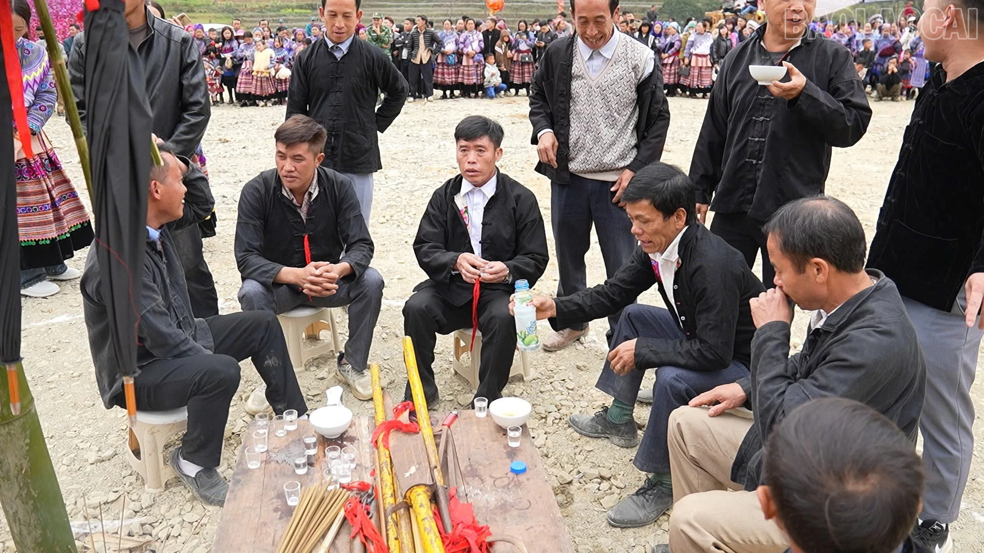 baolaocai-tr_cung-cay-neu.jpg