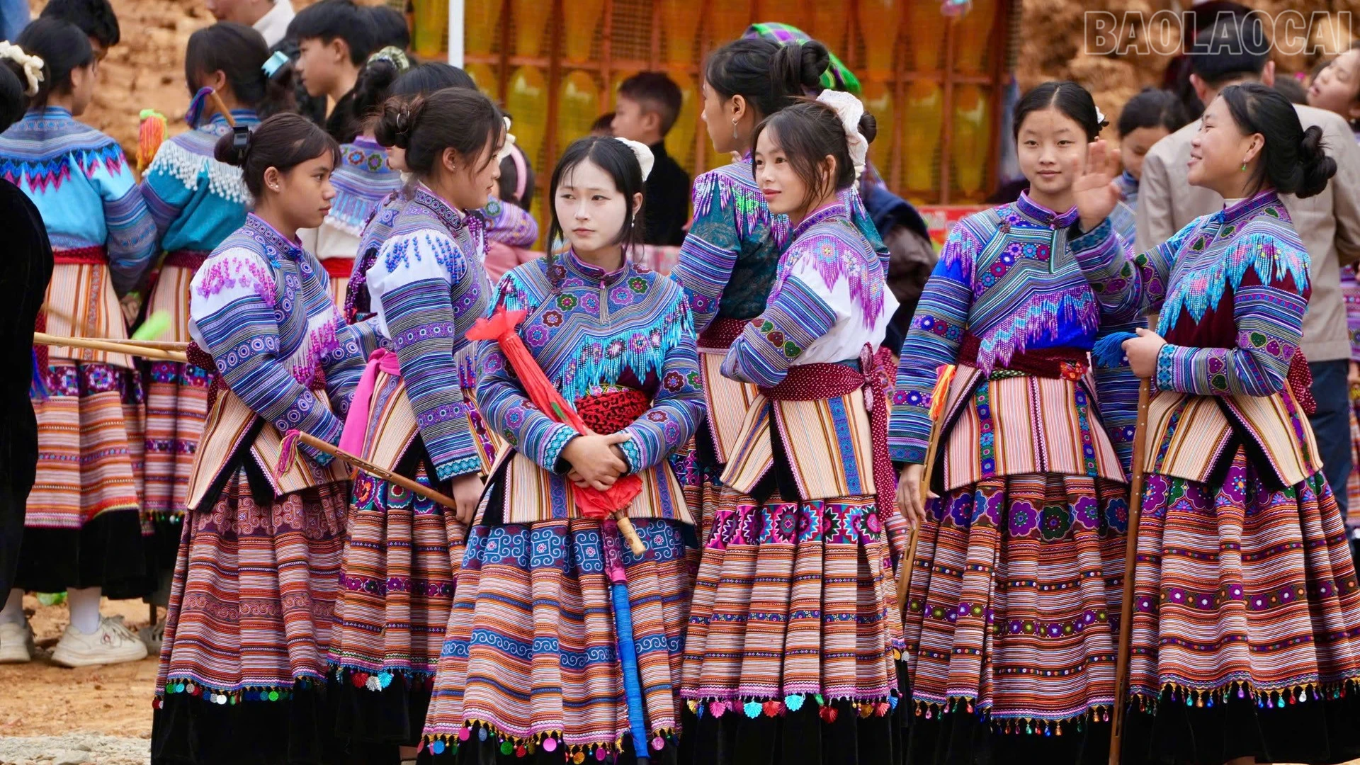 baolaocai-tr_7643058633bbbde5e4aa.jpg