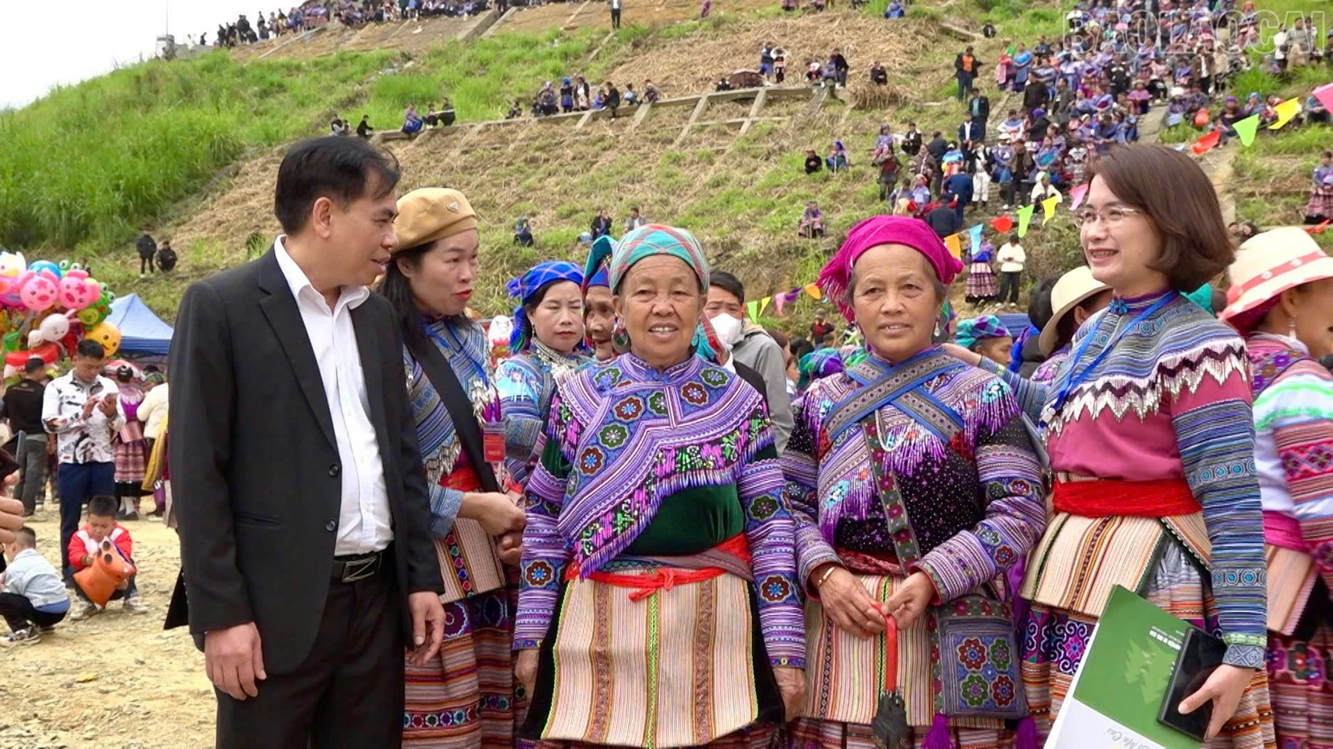baolaocai-tr_0c5d57117f2cf172a83d.jpg