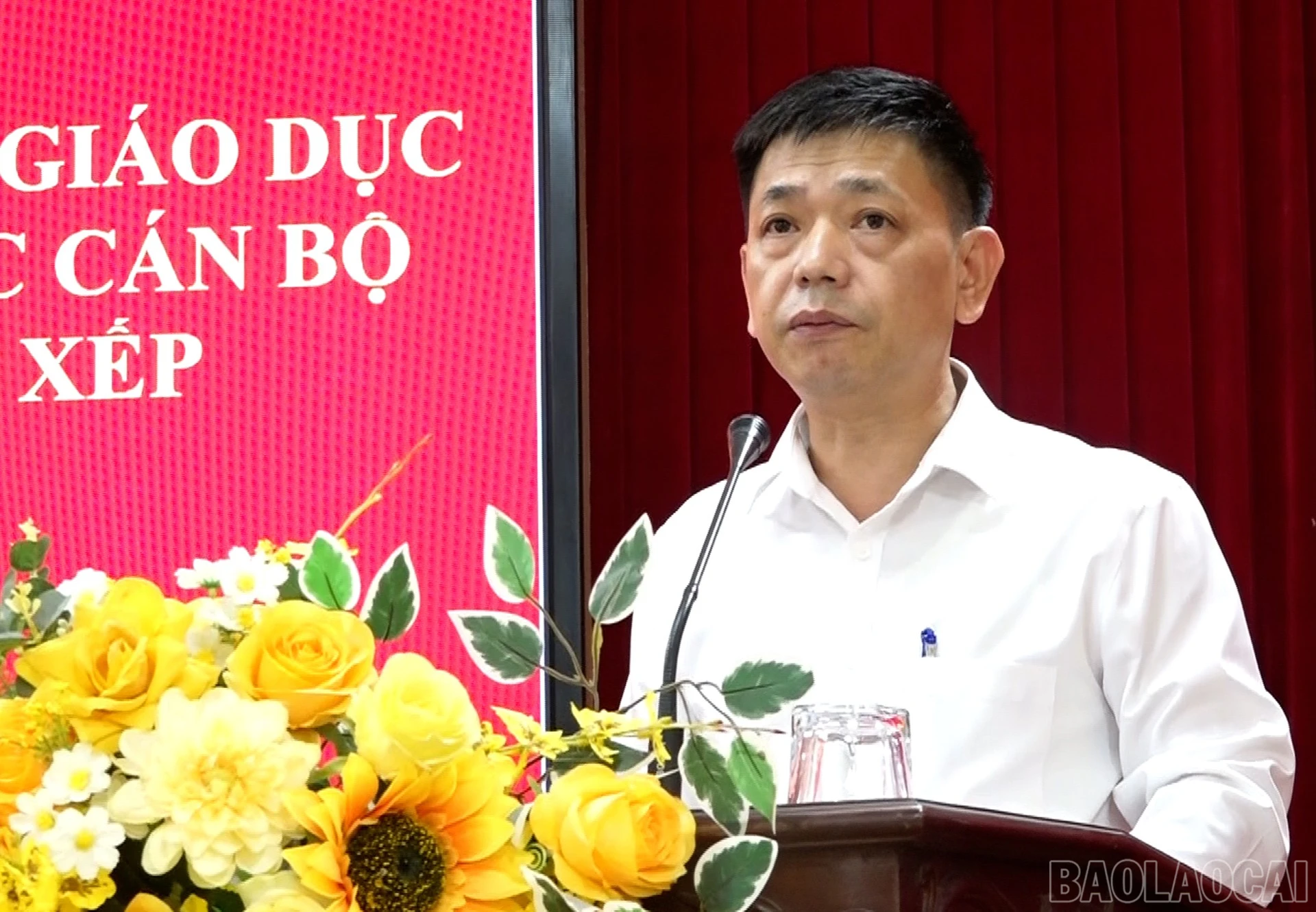 baolaocai-br_anh-6.jpg
