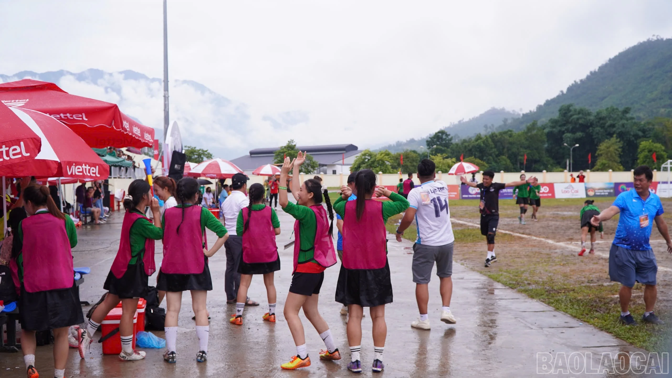 baolaocai-br_1787891333044-1389511428805464576-1389511428805464576-0248ae5dc7e6b61735f18d8373403c43.jpg