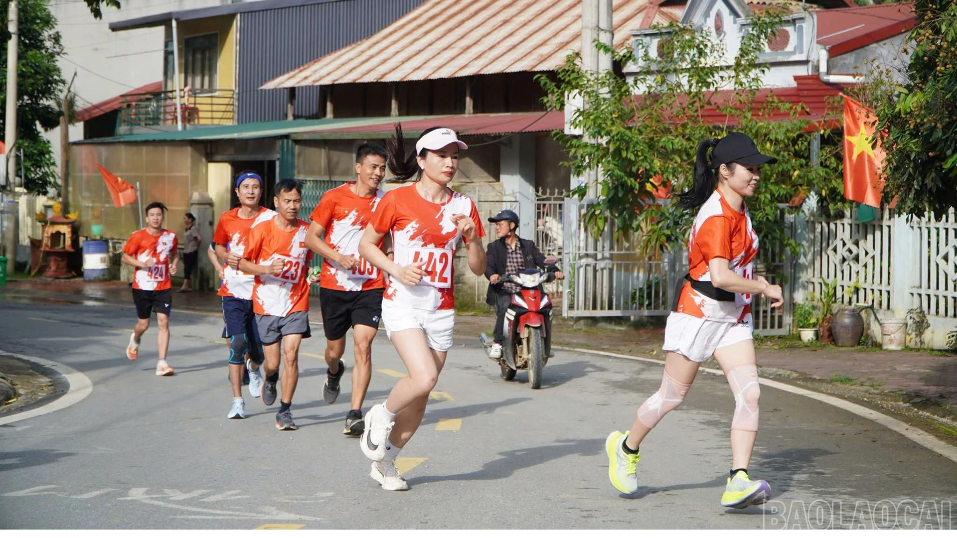 baolaocai-br_783183793-1735488494358808-2795469314068238218-n.jpg