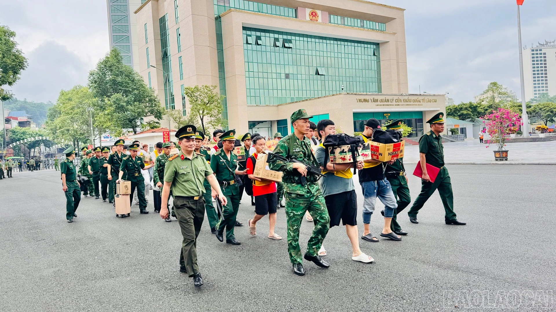 baolaocai-br_anh-1s.jpg