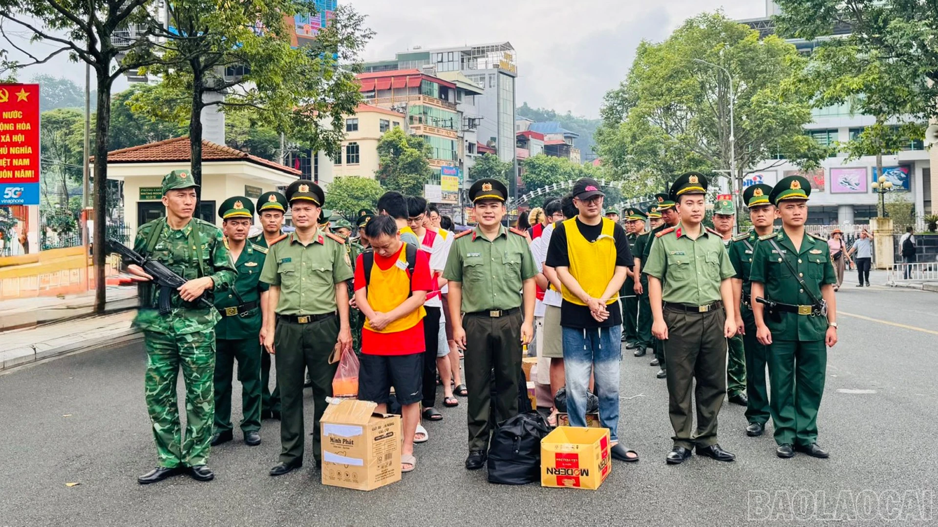 baolaocai-br_anh-1.jpg