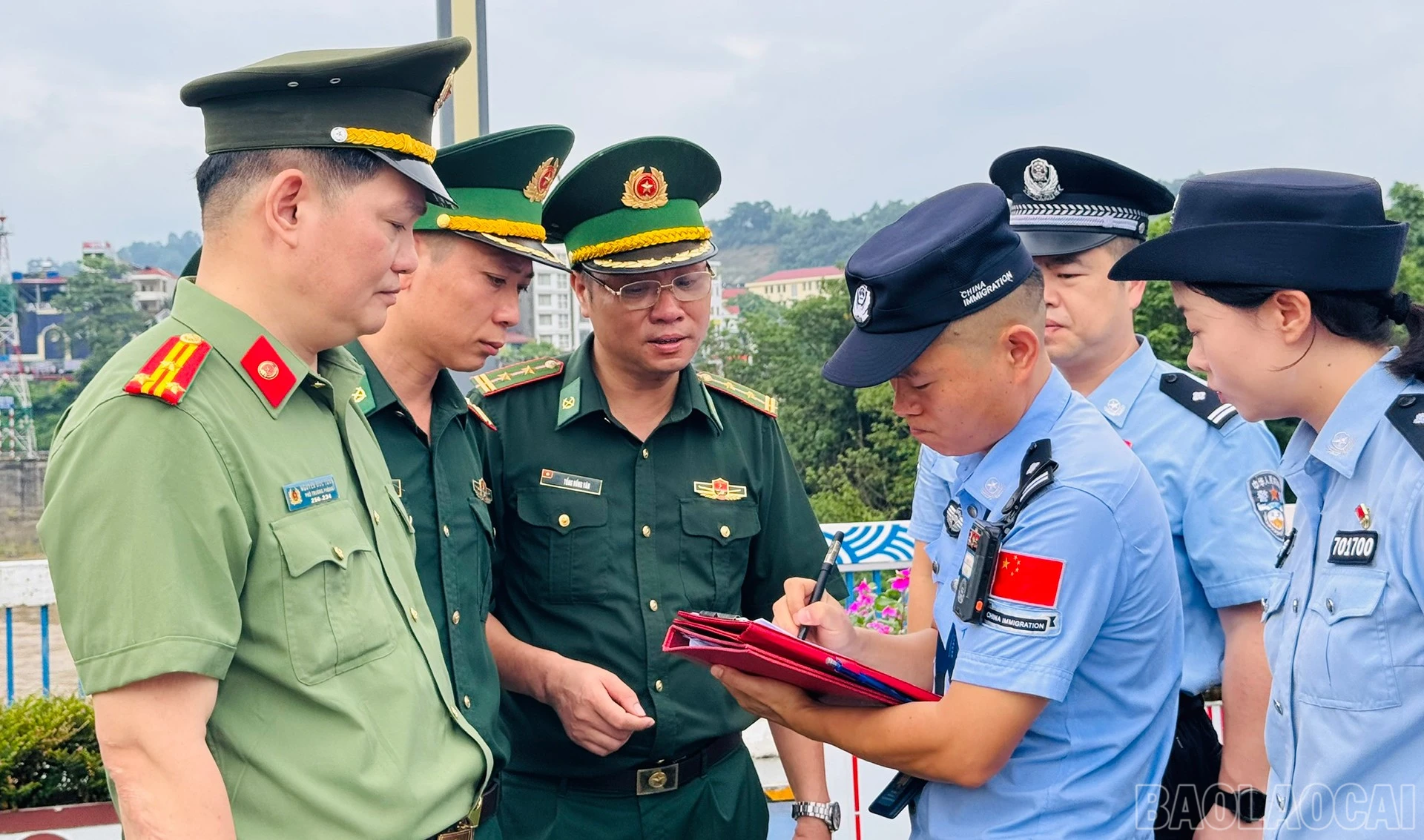baolaocai-br_anh-2.jpg