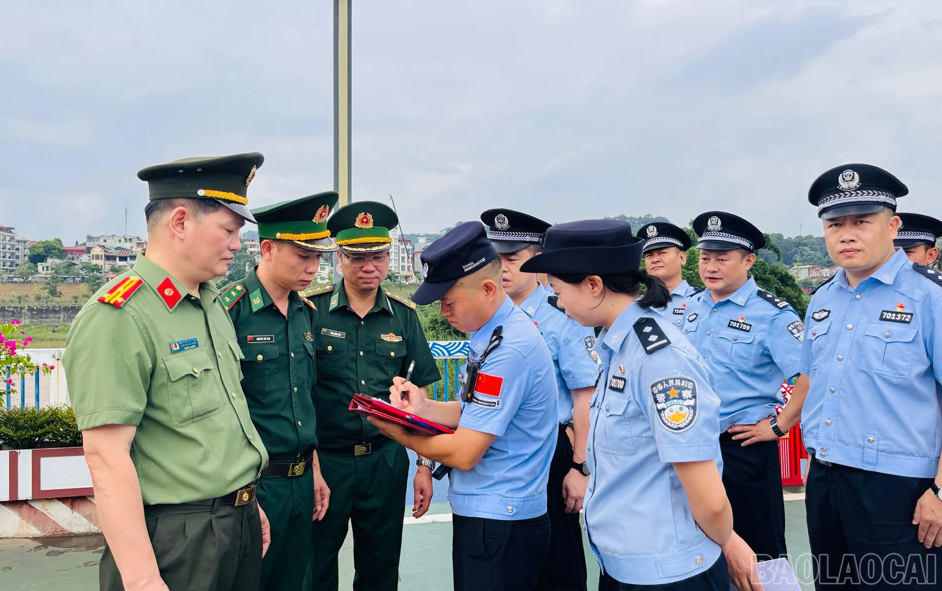 baolaocai-br_anh-2e.jpg