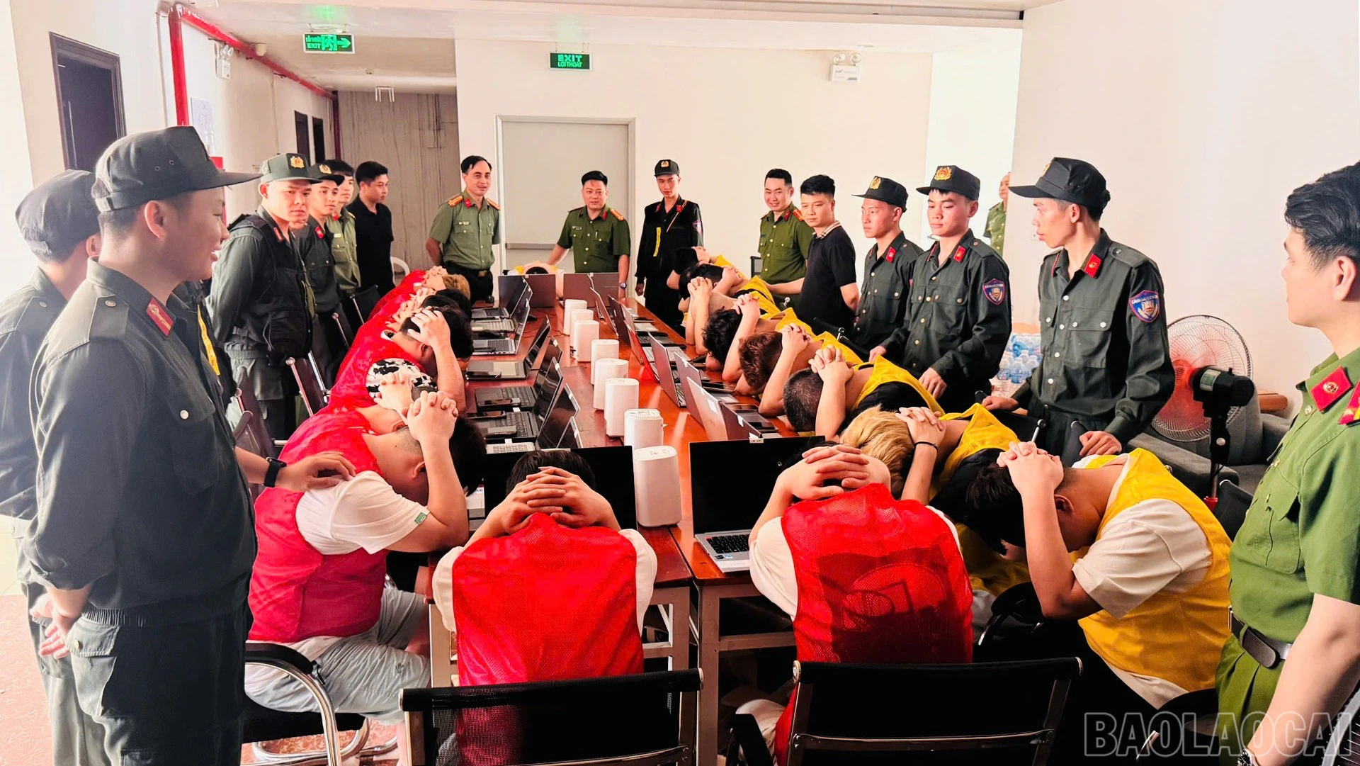 baolaocai-br_anh-6.jpg