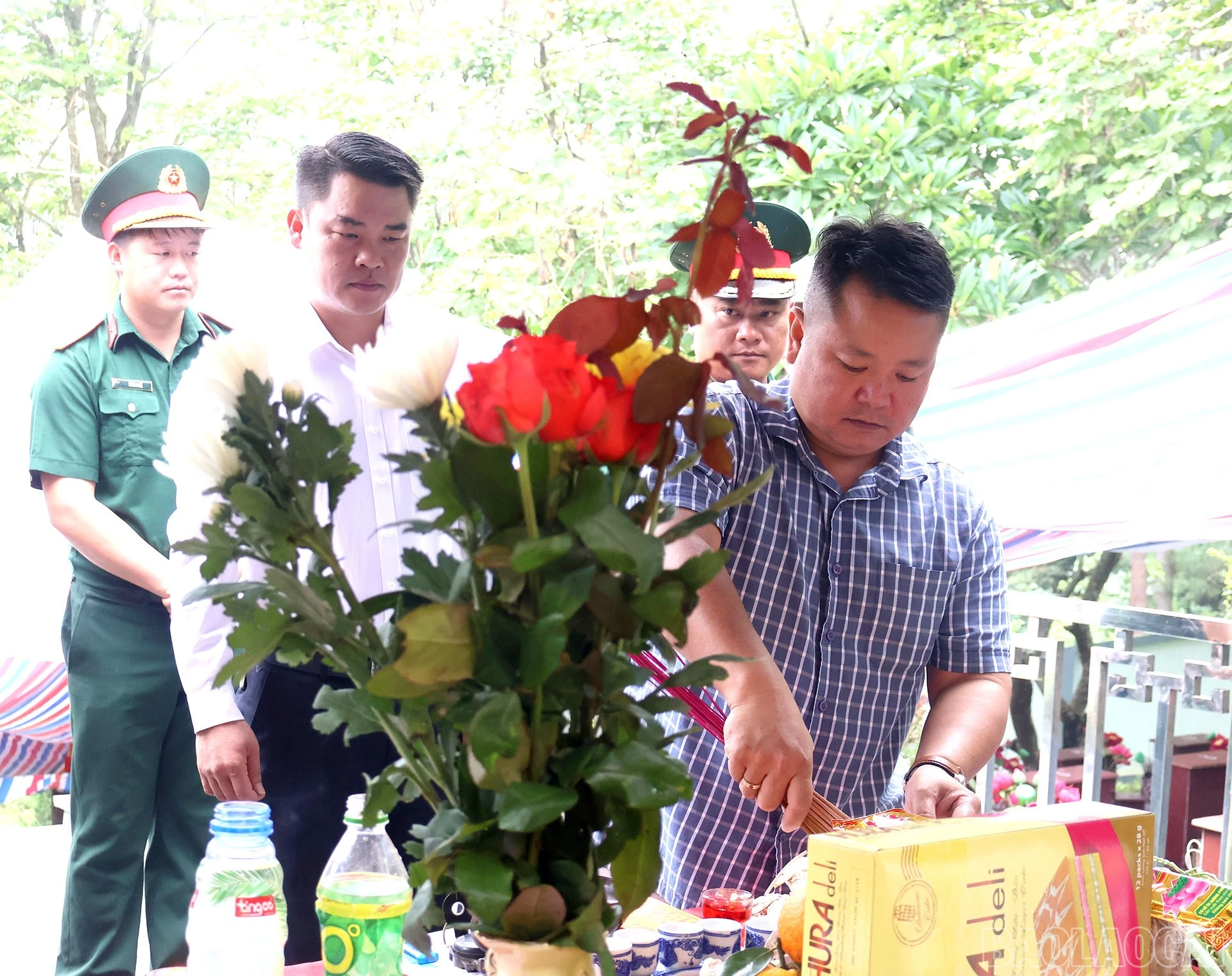 baolaocai-br_img-8471.jpg