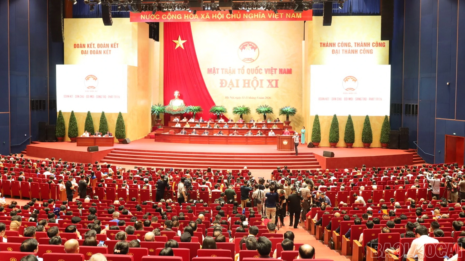 baolaocai-br_11-5-dh9.jpg