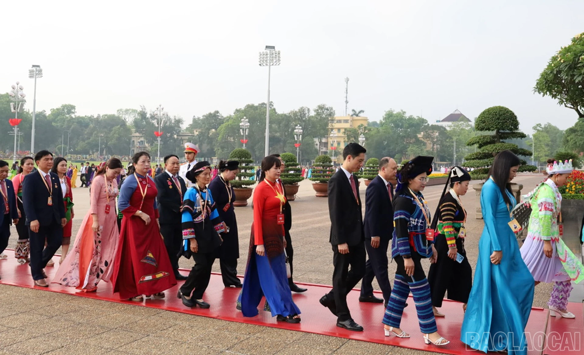 baolaocai-br_11-5-mttq2.jpg