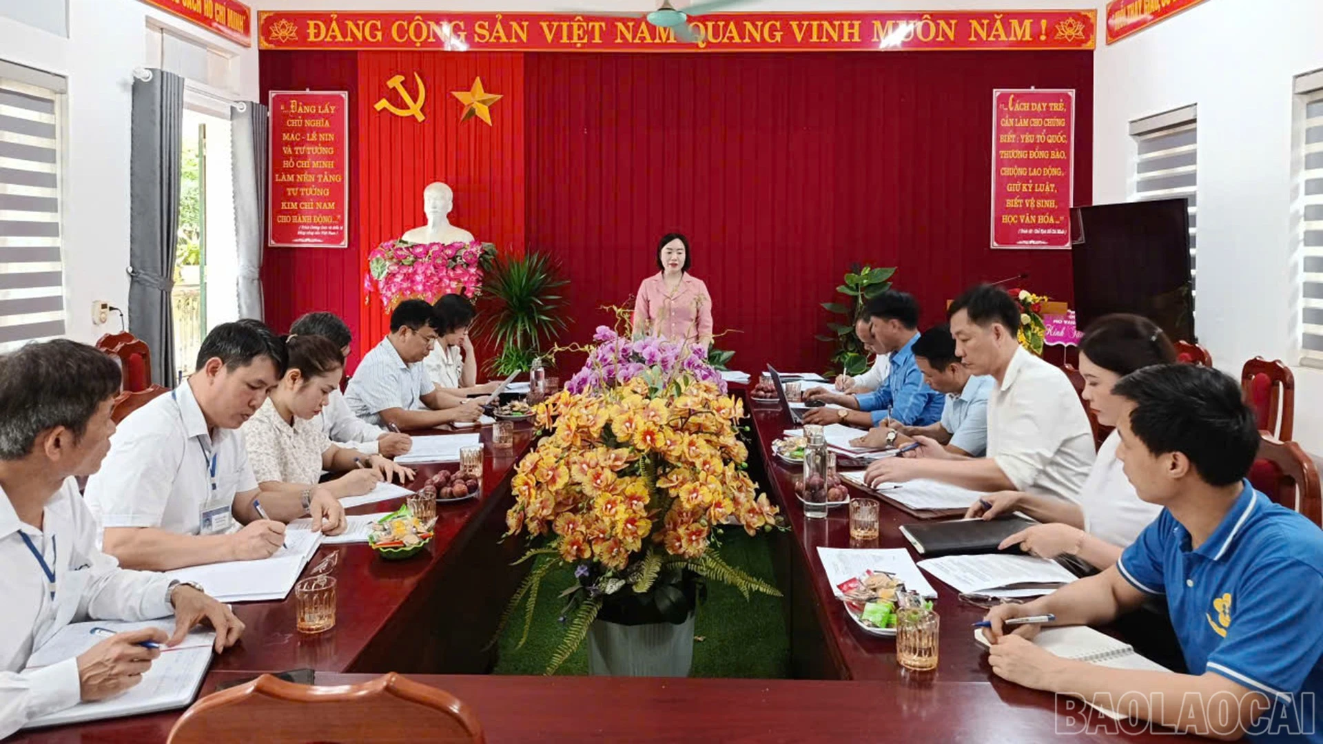 baolaocai-br_1.jpg