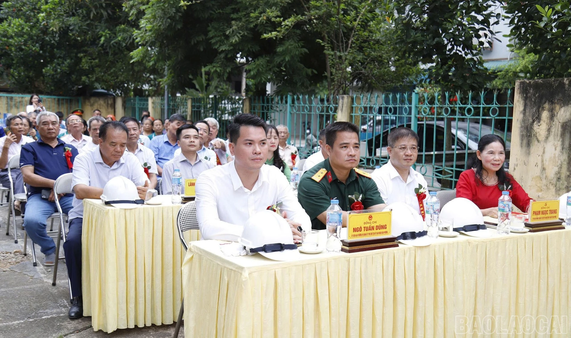 baolaocai-br_1000015616.jpg