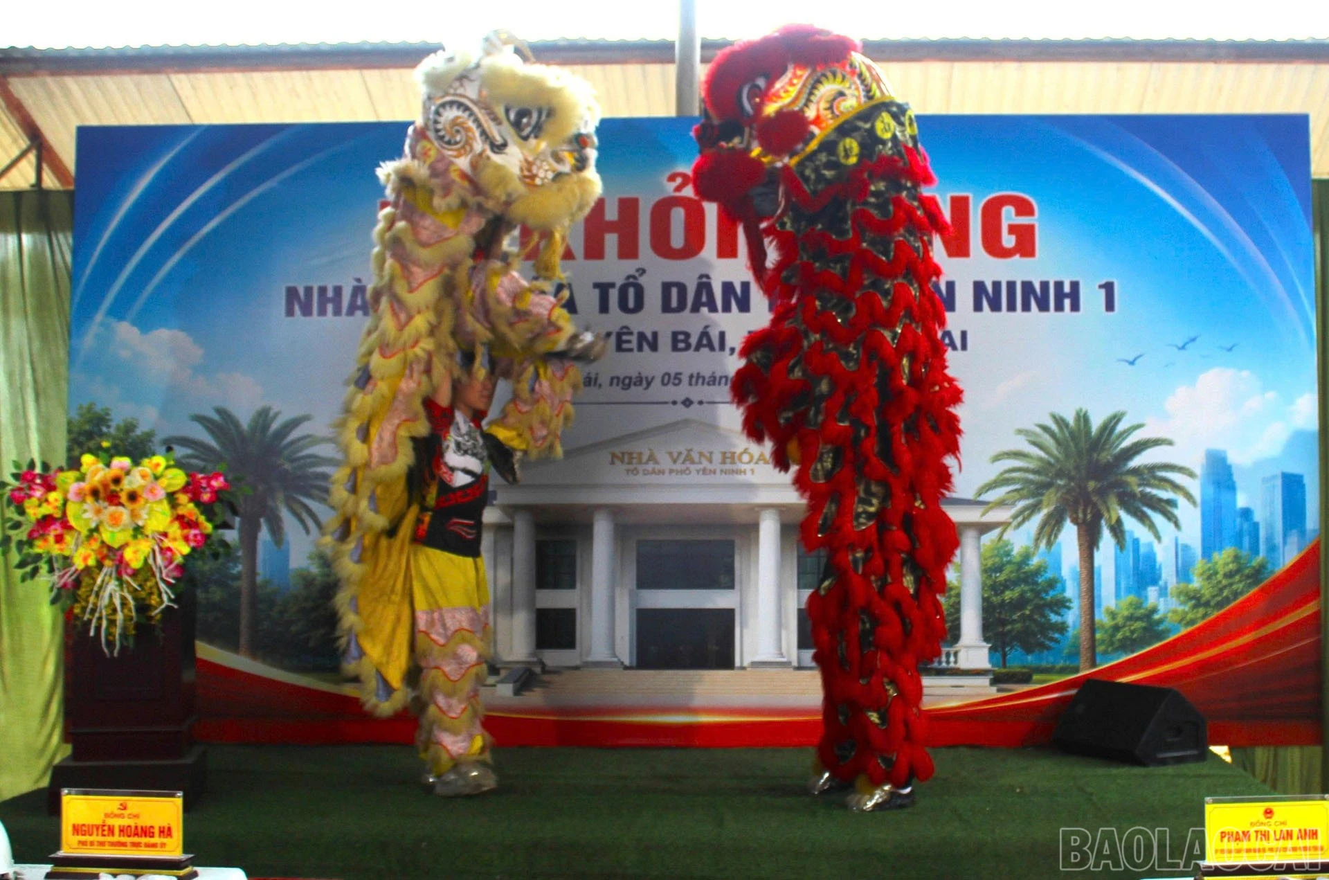 baolaocai-br_1000015608.jpg