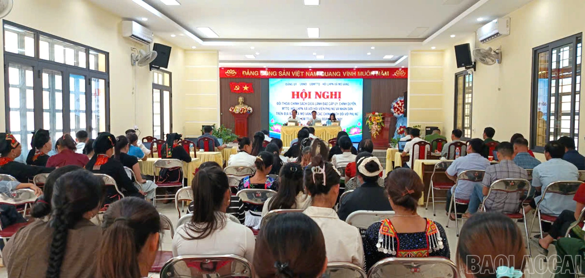 baolaocai-br_14.jpg