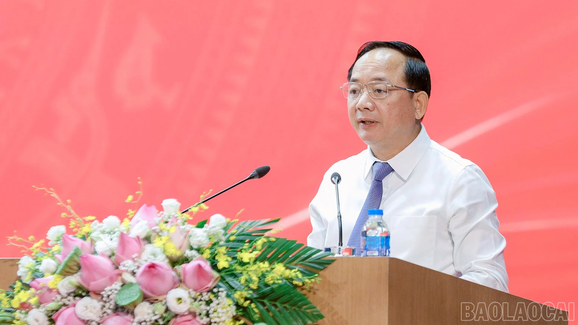 baolaocai-br_10-7-ongquet.jpg