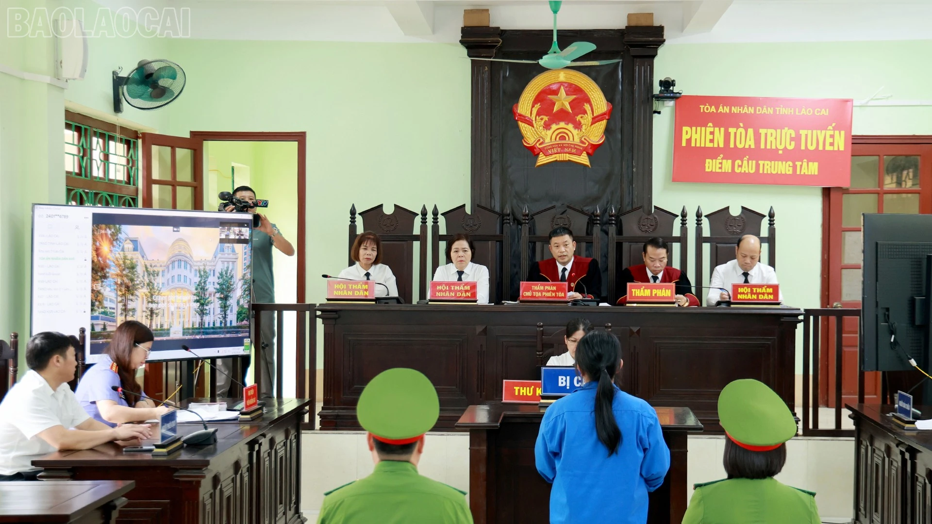 baolaocai-tl_10-6-vu1.jpg