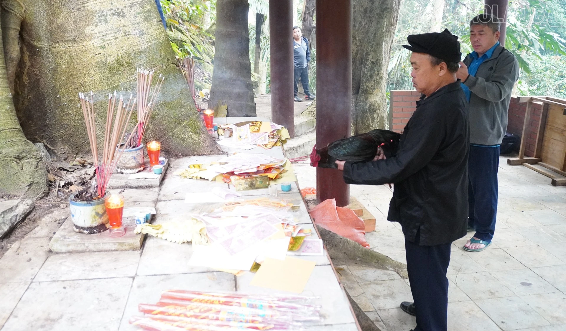 baolaocai-tr_cung1-1.jpg