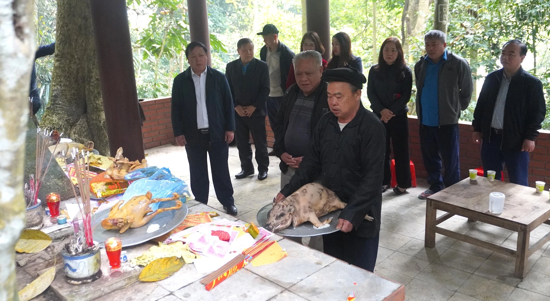 baolaocai-tr_cung1-2.jpg