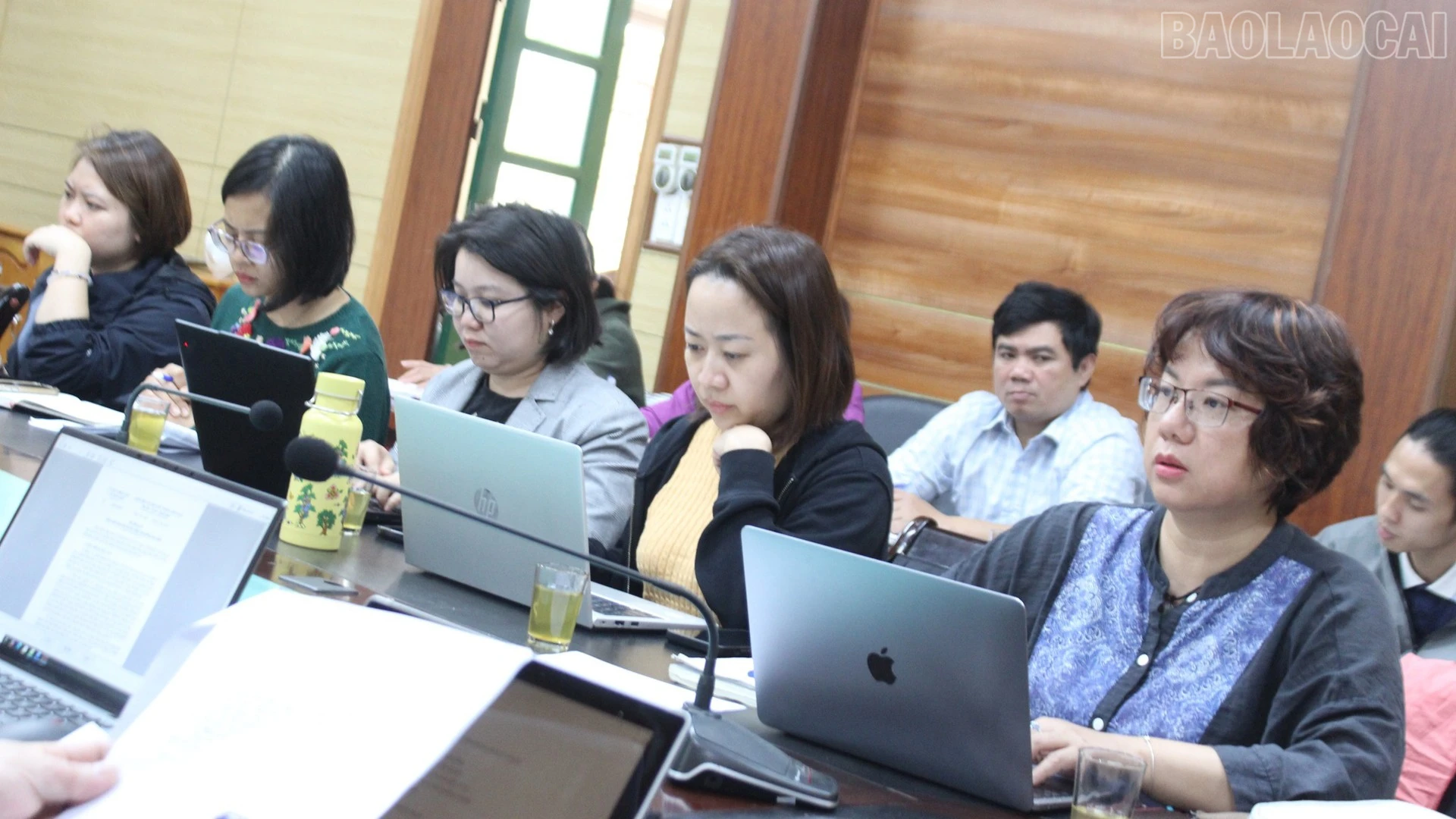 baolaocai-tr_4-1.jpg