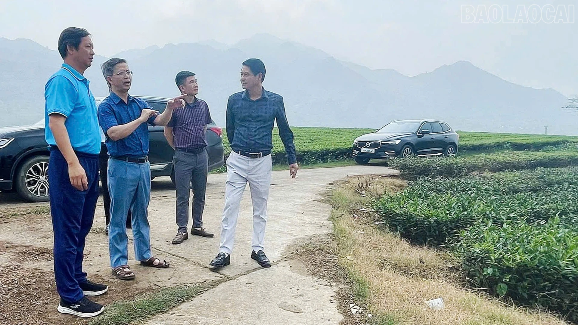 baolaocai-tr_19-3-khao-sat3.jpg