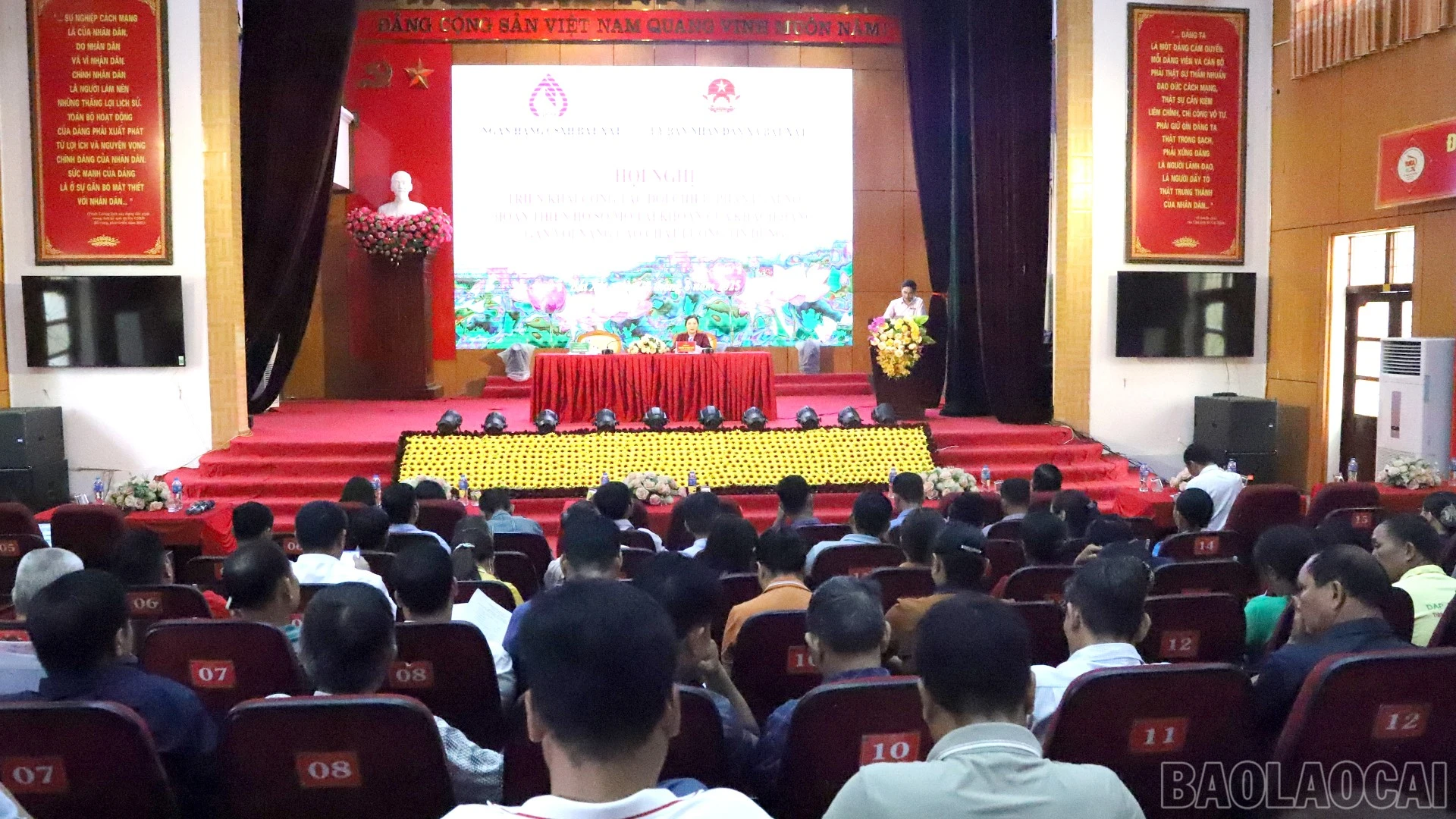 baolaocai-br_20-8-b-at-xat1.jpg