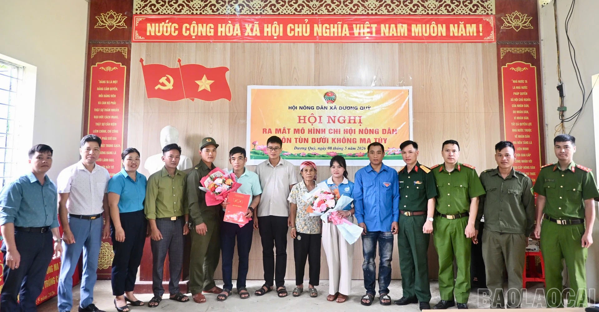 baolaocai-br_dq1-2.jpg
