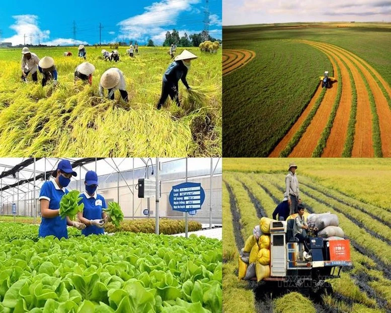 Sổ tay sẽ là tài liệu tham khảo hữu ích, thiết thực, giúp các cơ quan, đơn vị và công chức tại cấp xã thực hiện các nhiệm vụ được giao một cách thuận lợi