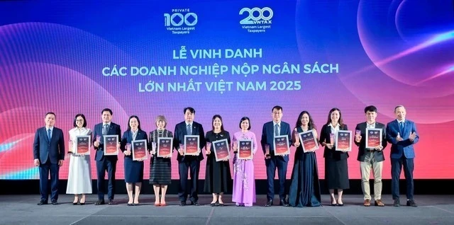Trong nhóm các ngân hàng tư nhân, những thương hiệu dẫn đầu như Techcombank, VPBank, HDBank… đã được ghi nhận với mức đóng góp vượt trội.