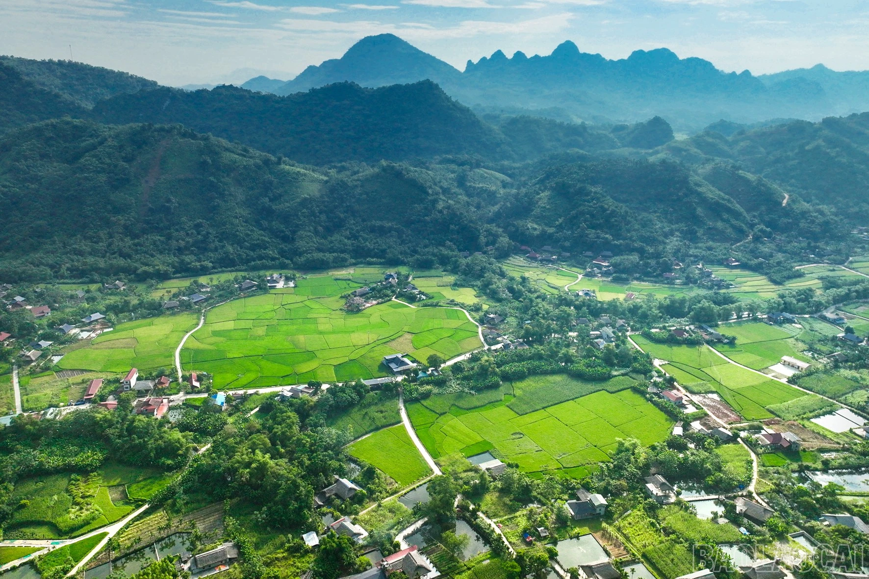 baolaocai-br_anh-1.jpg