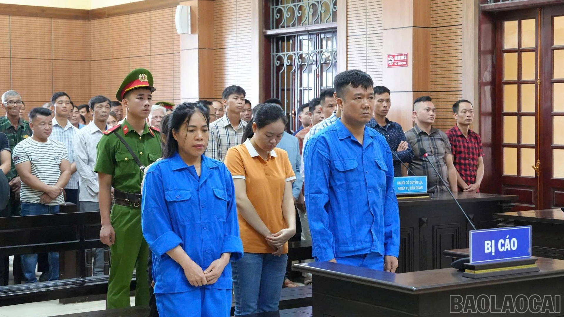 baolaocai-br_anh2.jpg