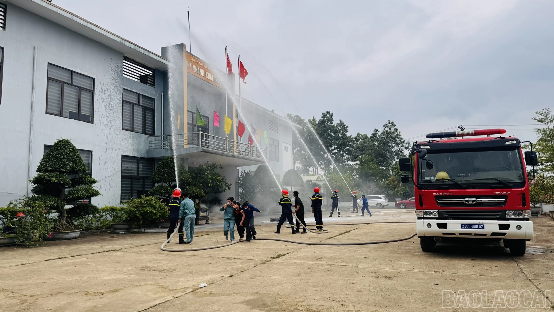 baolaocai-br_chay1-10.jpg