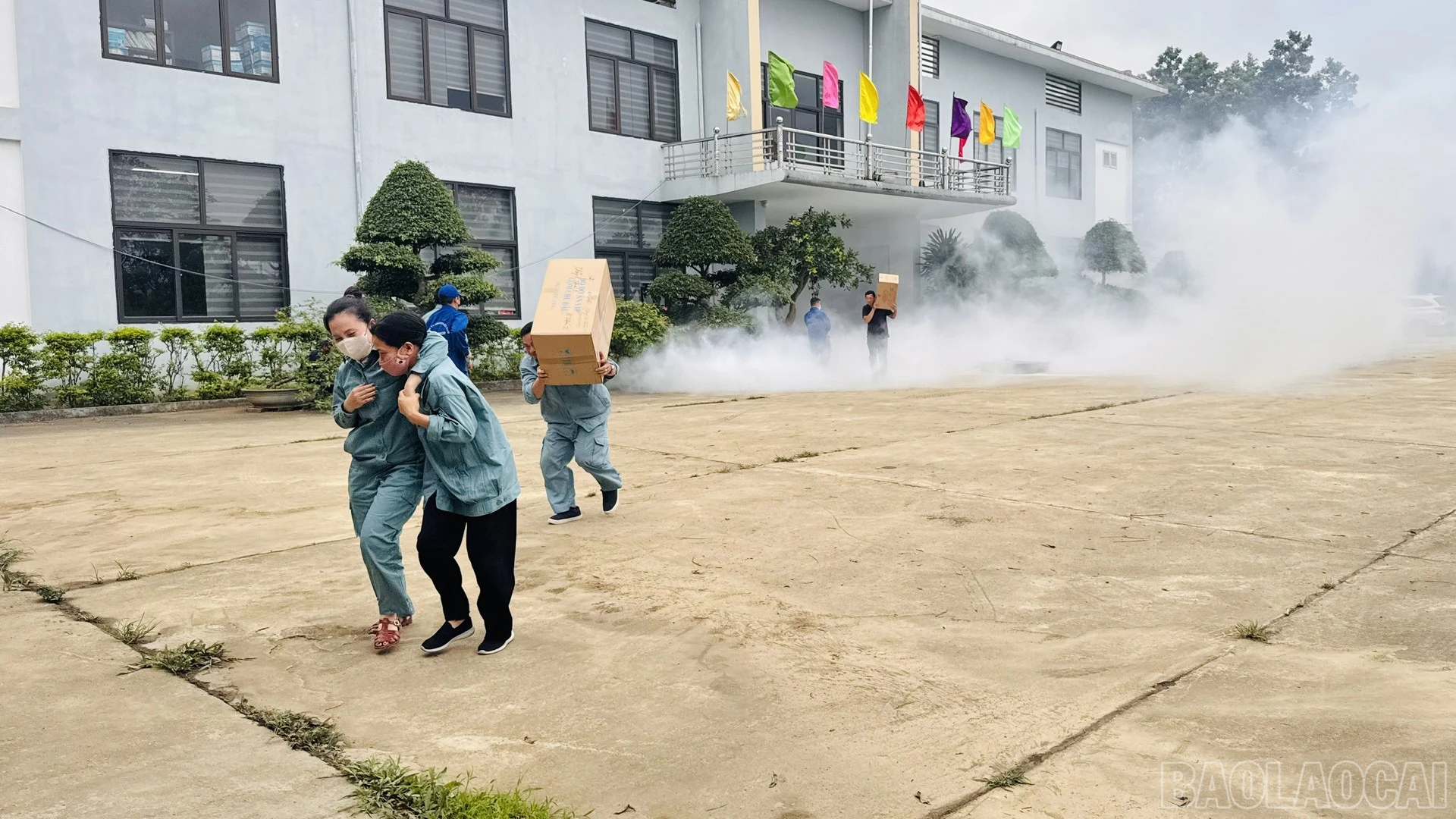 baolaocai-br_chay1-4.jpg