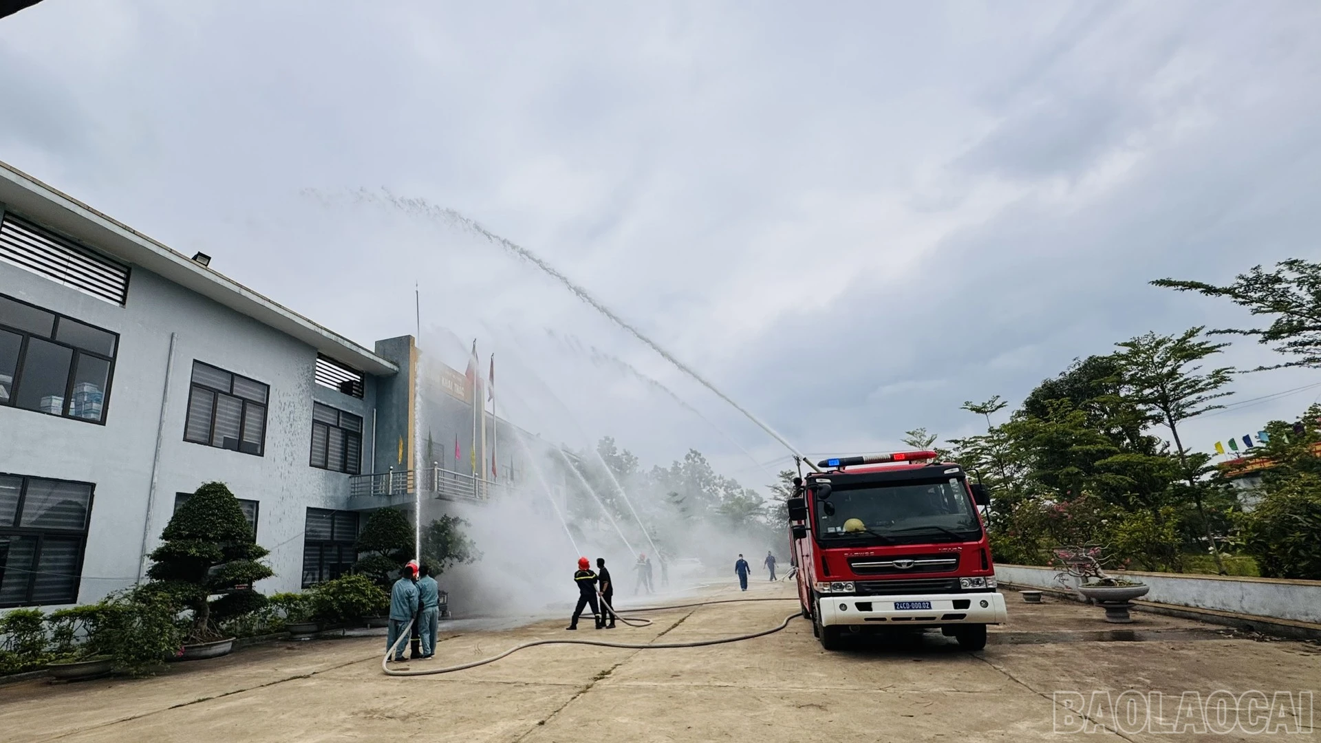 baolaocai-br_chay1-9.jpg