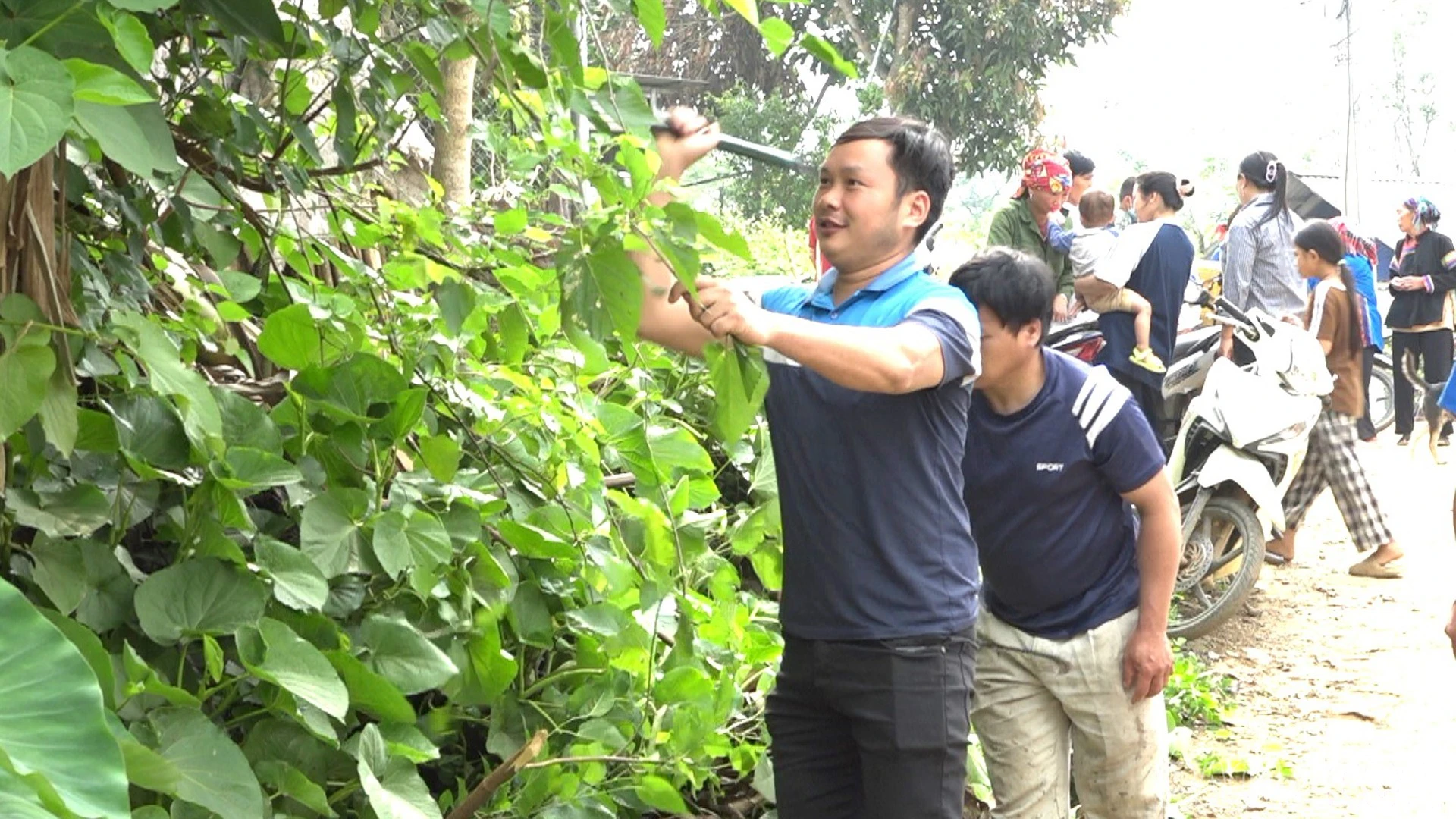 baolaocai-br_xh1-4.jpg