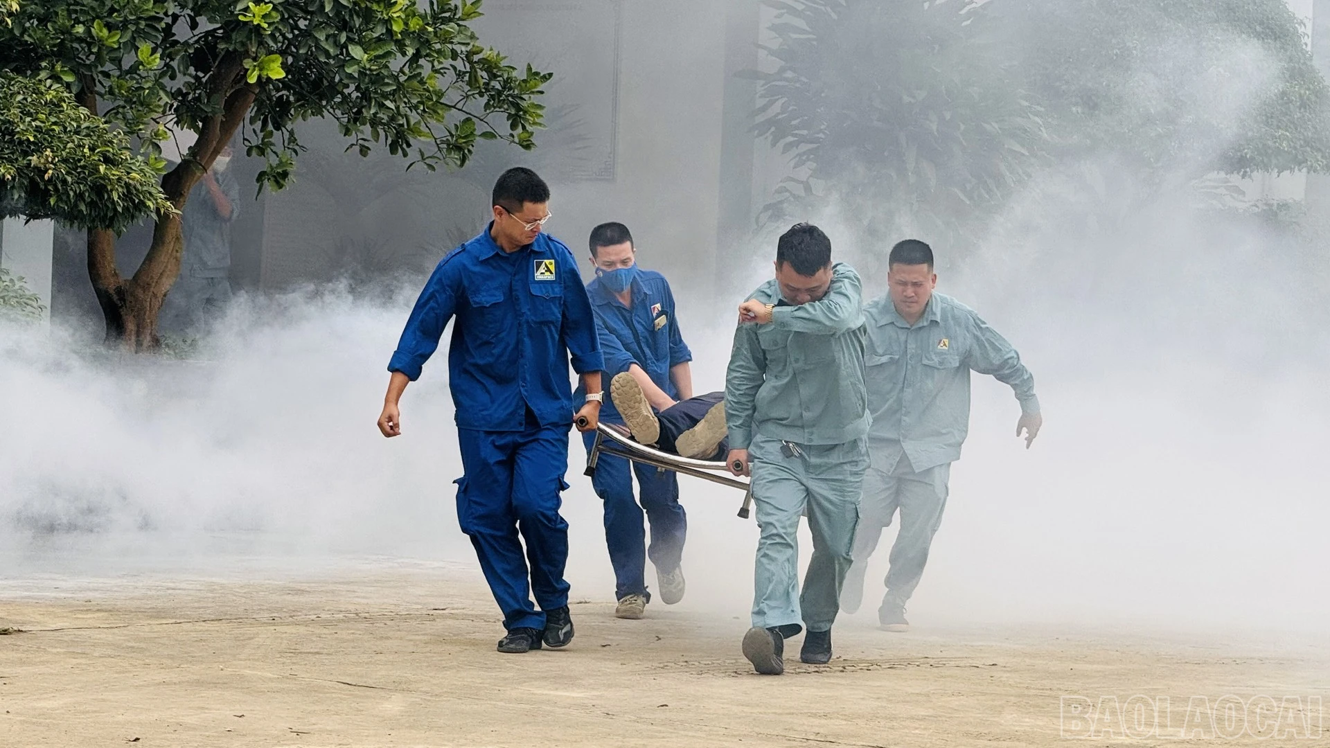 baolaocai-br_chay1-6.jpg