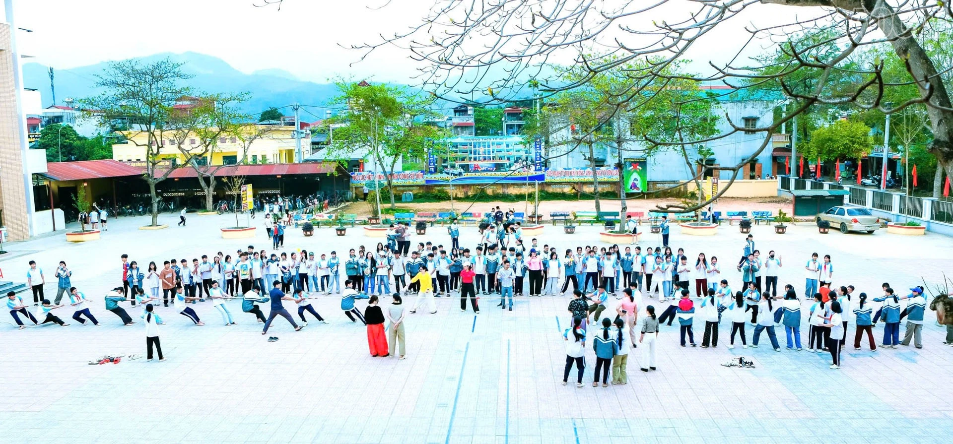 baolaocai-tr_18.jpg
