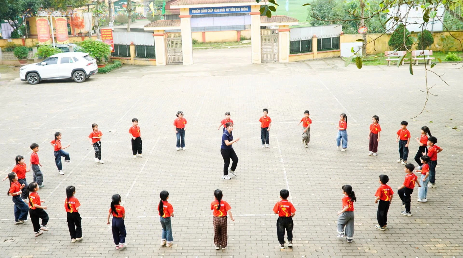 baolaocai-tr_ma1.jpg