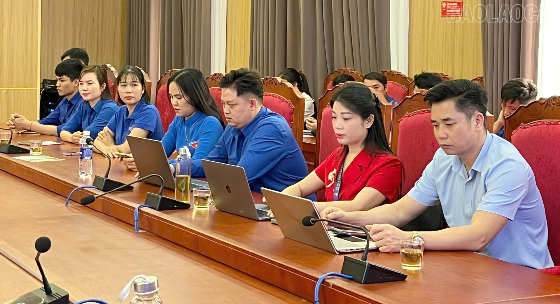 baolaocai-tr_cs6.jpg
