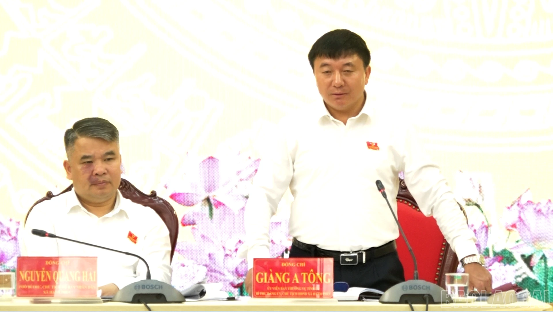 baolaocai-br_screenshot-2026-03-26-152330.png
