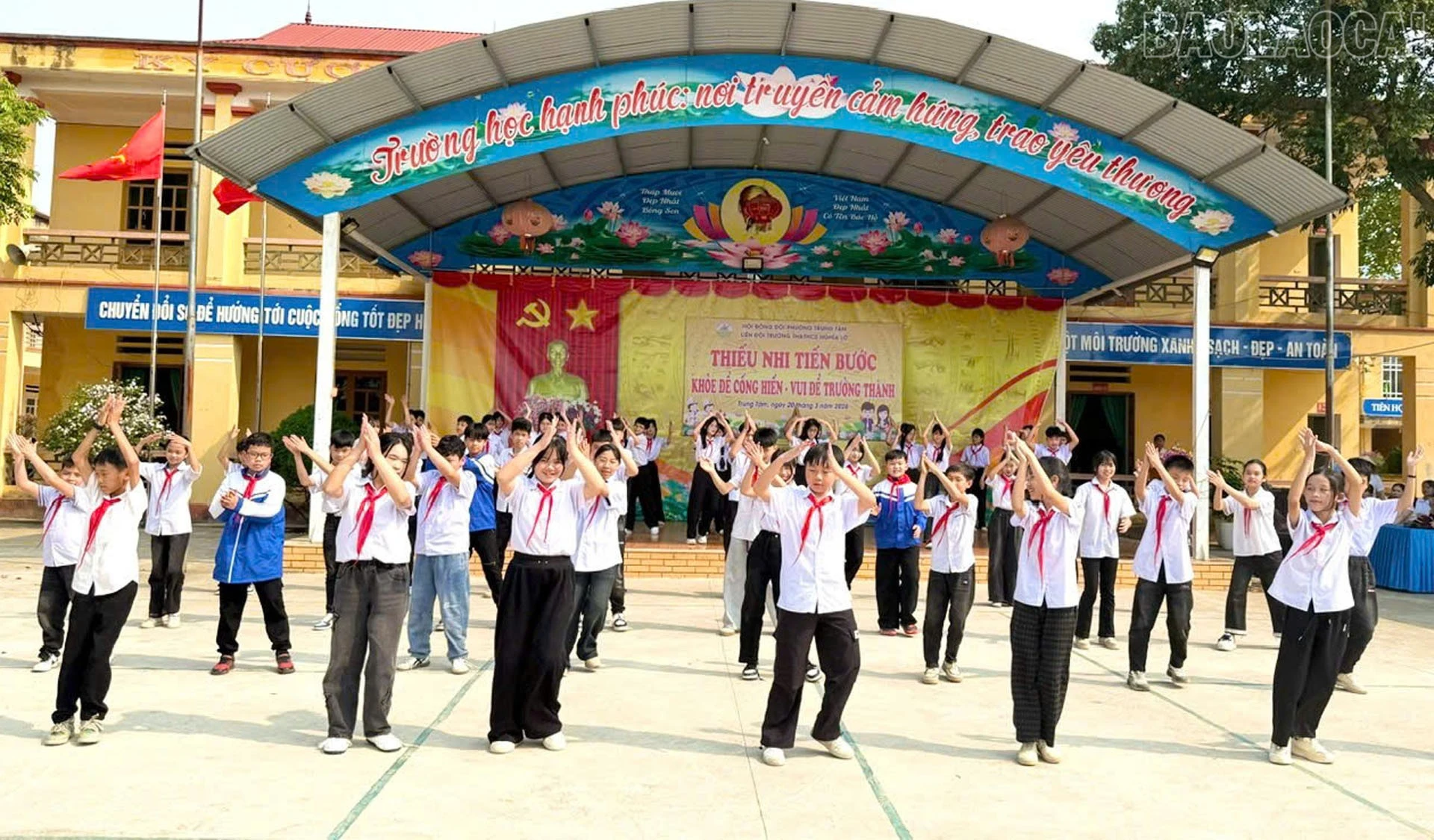 baolaocai-tr_7-5365.jpg
