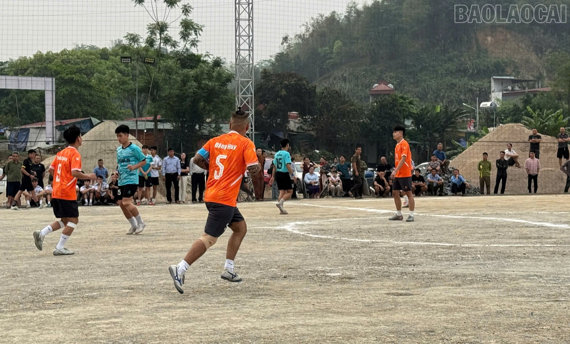 baolaocai-tr_z7658738542168-cd26d5aeaa601e95de007fa663a867ba.jpg