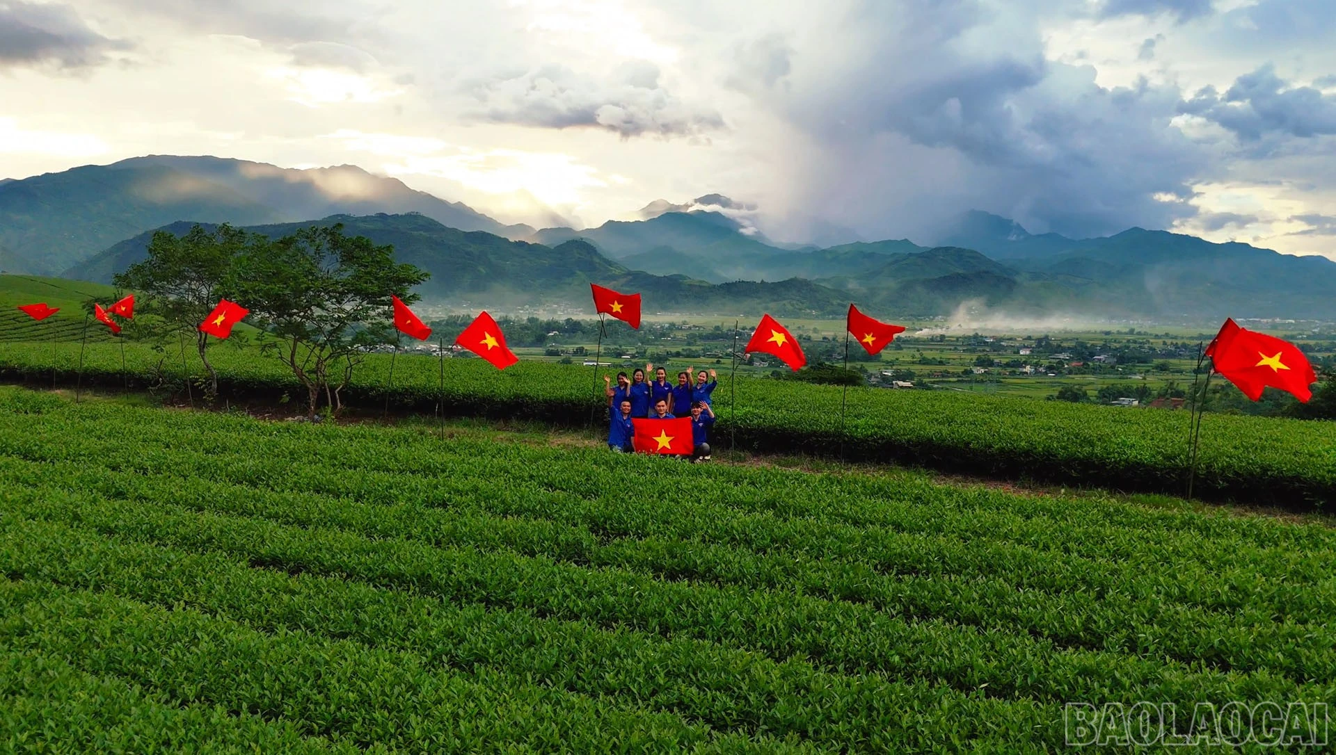 baolaocai-br_6.jpg