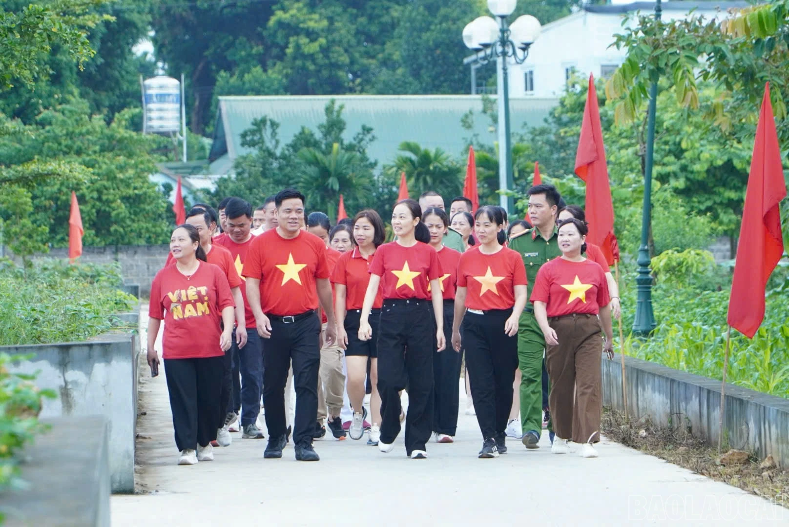 baolaocai-br_1788051310162-1937082184483651005-3304588081005574016-488a25e8af10331247c602c8b570d9e3.jpg