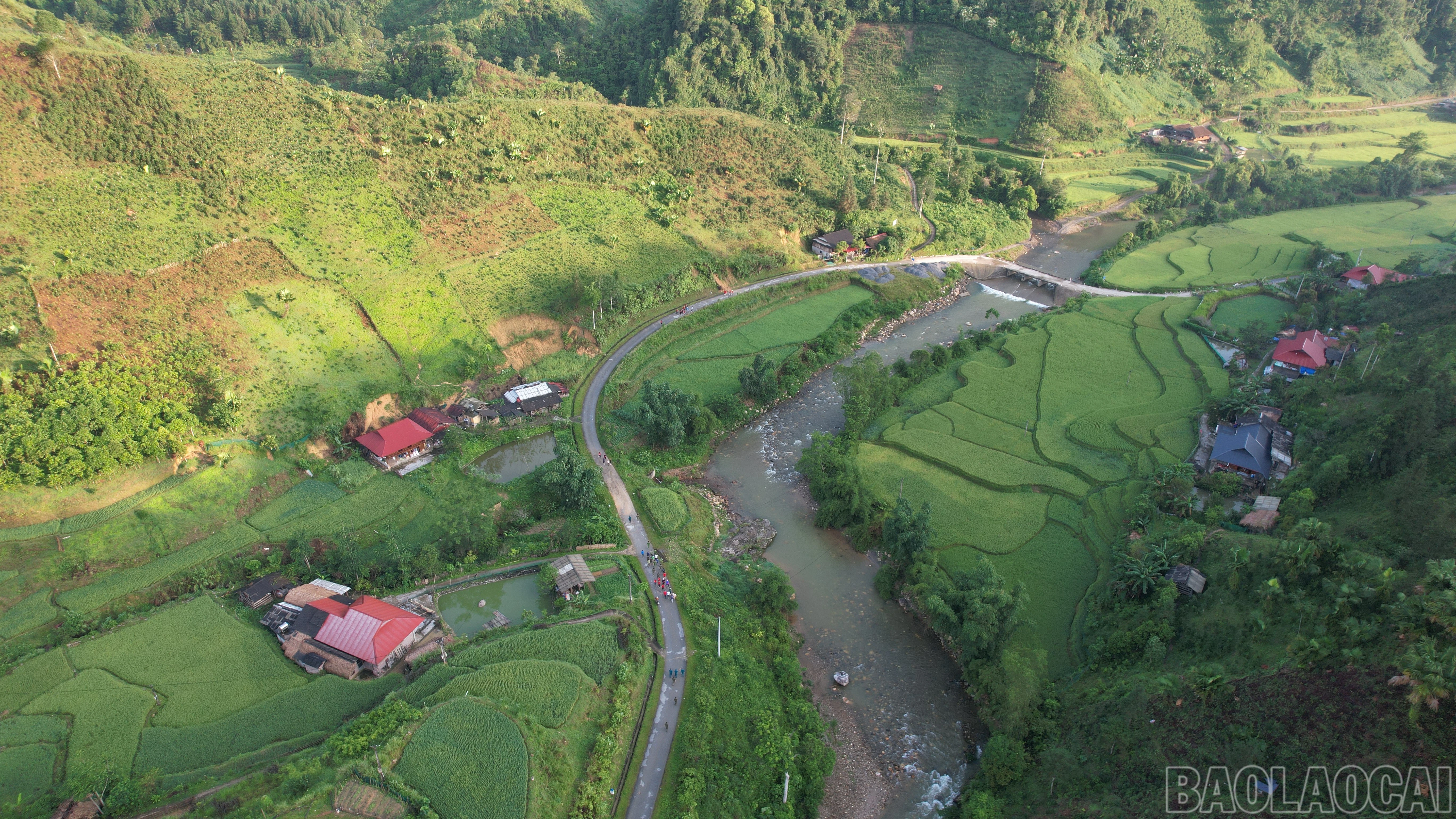 baolaocai-br_dji-0100.jpg