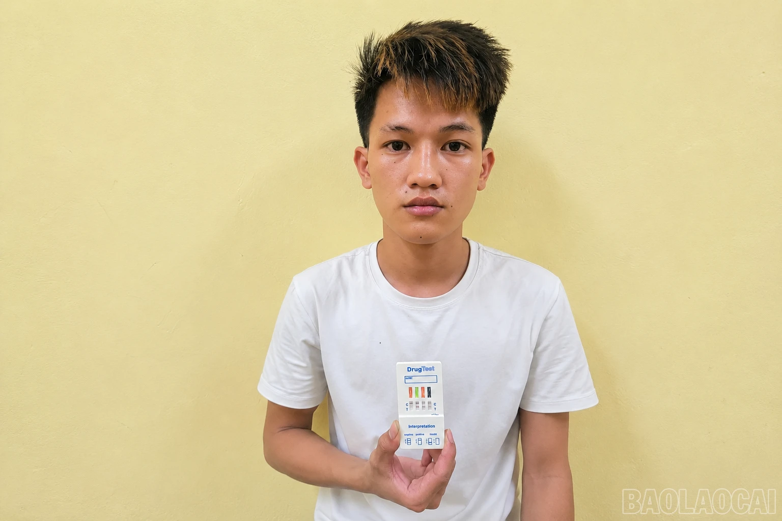 baolaocai-br_anh-1-1.png